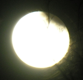 DSCN8830x.jpg