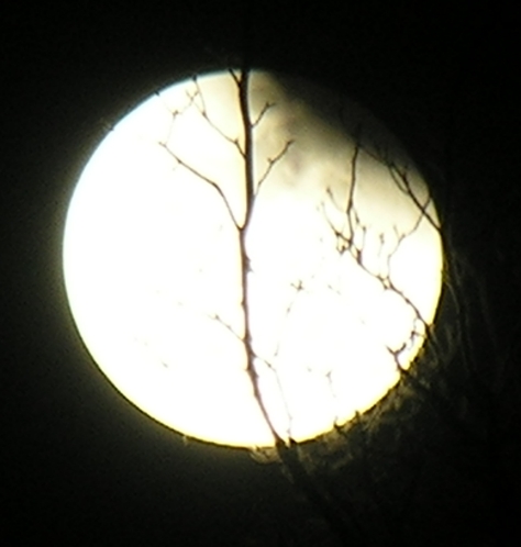 DSCN8831x.jpg