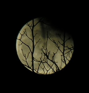 DSCN8834x.jpg