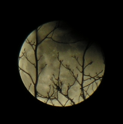 DSCN8835x.jpg