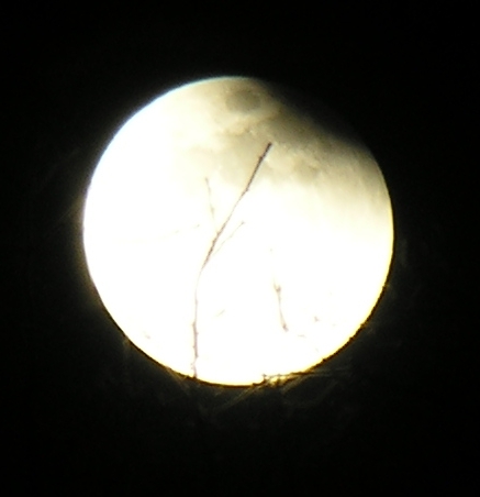 DSCN8837x.jpg