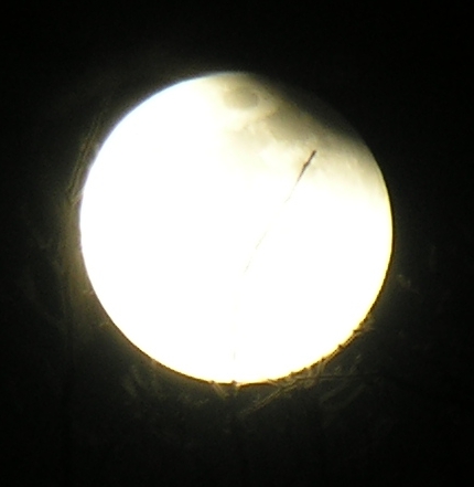 DSCN8838x.jpg