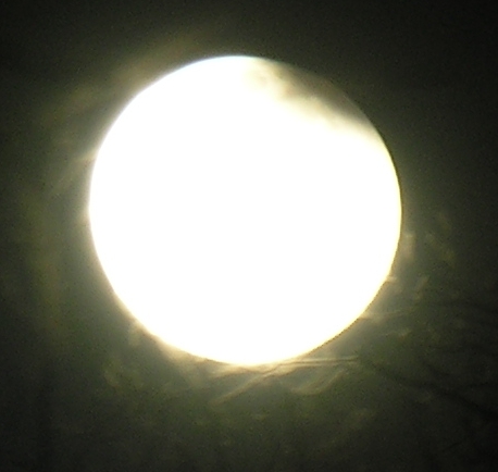DSCN8839x.jpg