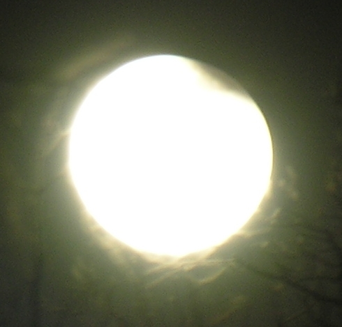 DSCN8840x.jpg