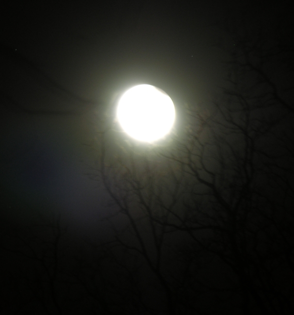 DSCN8841_607.jpg