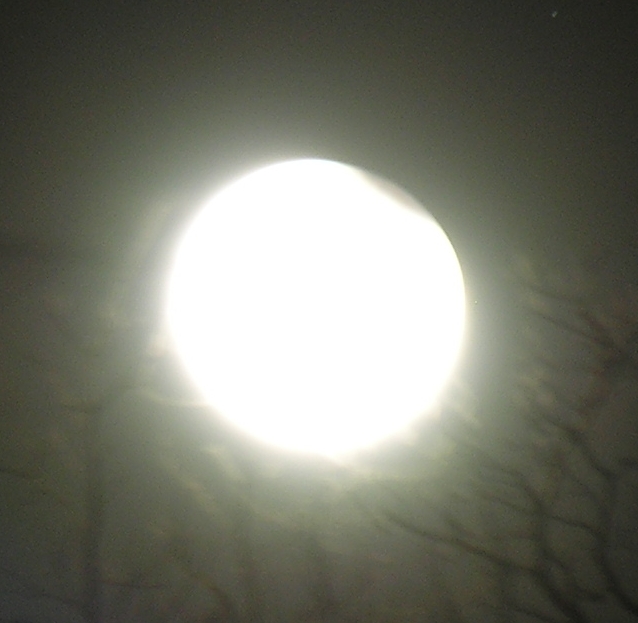 DSCN8841x.jpg