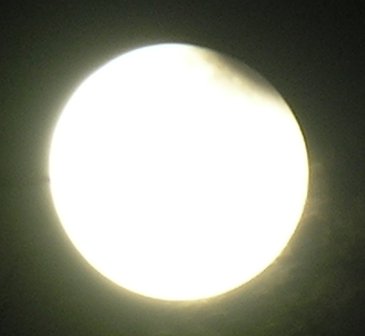 DSCN8842x.jpg