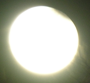 DSCN8843x.jpg