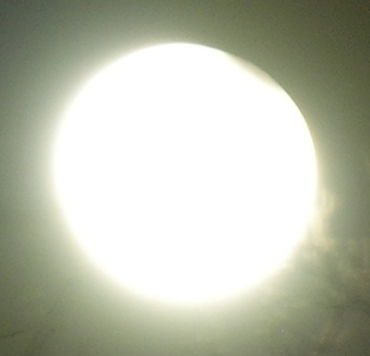 DSCN8844x.jpg