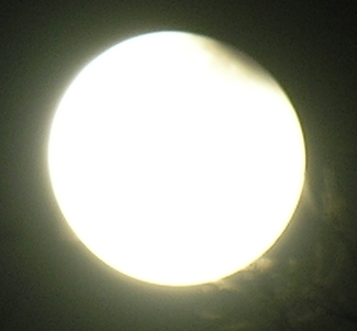 DSCN8845x.jpg