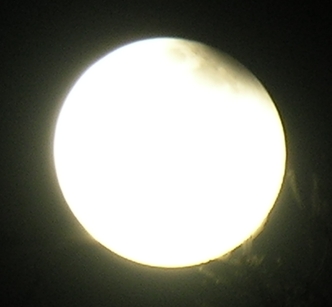 DSCN8846x.jpg