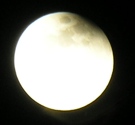 DSCN8847x.jpg