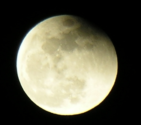 DSCN8848x.jpg