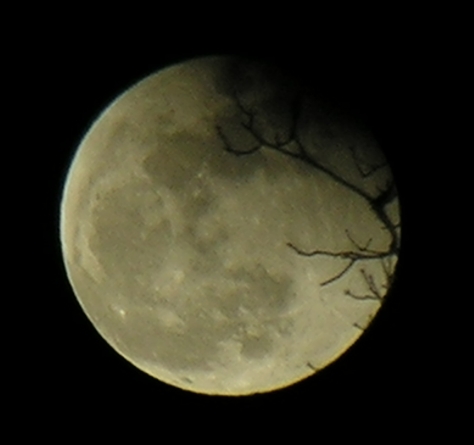 DSCN8850x.jpg