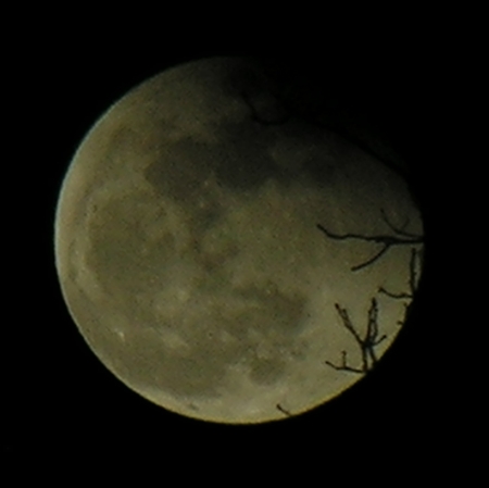 DSCN8851x.jpg