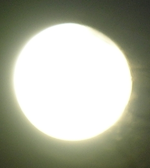 DSCN8852x.jpg