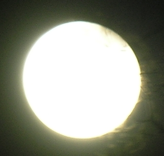 DSCN8853x.jpg