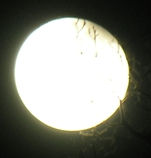 DSCN8854x.jpg