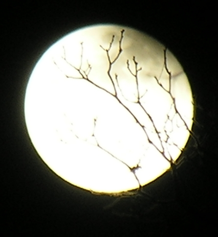 DSCN8855x.jpg