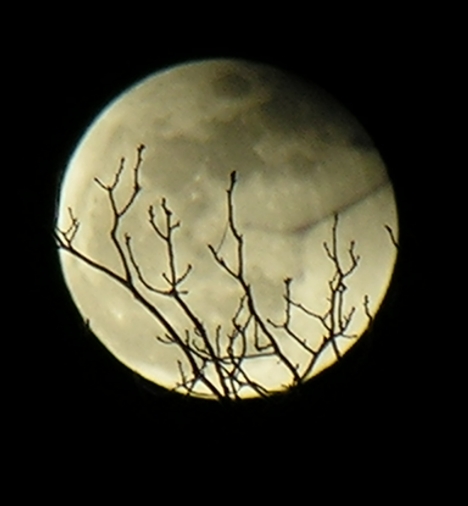DSCN8858x.jpg