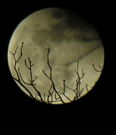 DSCN8859x.jpg