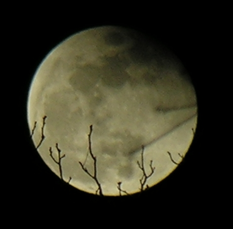 DSCN8860x.jpg