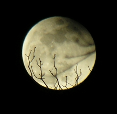 DSCN8861x.jpg