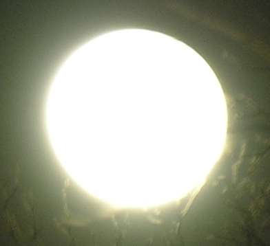 DSCN8864x.jpg