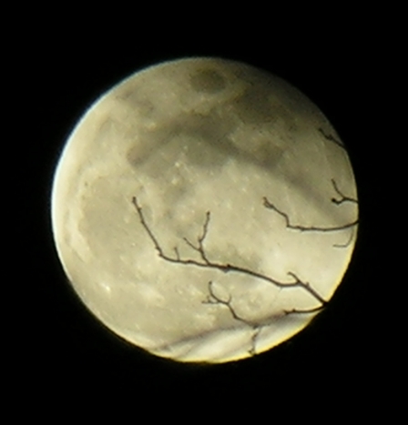 DSCN8868x.jpg
