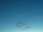 DSCN8685x.jpg