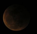 DSCN8713x.jpg