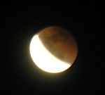 DSCN8743x.jpg