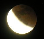 DSCN8752x.jpg