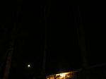 DSCN8768x.jpg