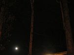 DSCN8771x.jpg