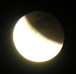 DSCN8776x.jpg