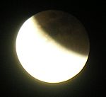 DSCN8777x.jpg