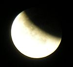 DSCN8780x.jpg