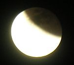 DSCN8781x.jpg
