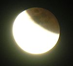 DSCN8783x.jpg