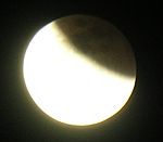 DSCN8784x.jpg