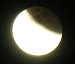 DSCN8785x.jpg