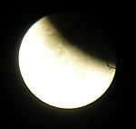 DSCN8787x.jpg