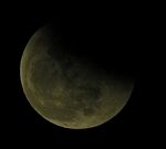 DSCN8795x.jpg