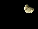 DSCN8801_1024.jpg