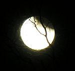 DSCN8810x.jpg