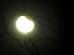DSCN8812_1280.jpg
