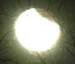 DSCN8813x.jpg