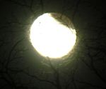 DSCN8814x.jpg