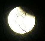 DSCN8817x.jpg